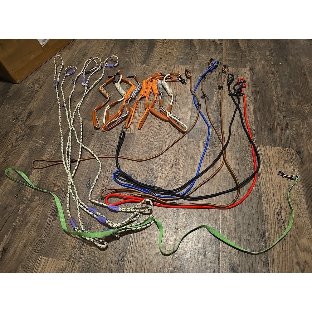 Dog Leash Lot